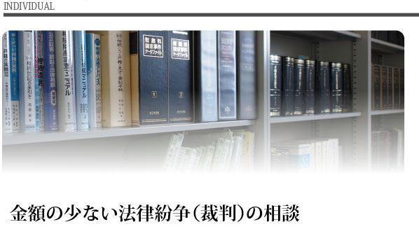 金額の少ない法律紛争（裁判）の相談